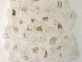 Pokerwork drawings 2007