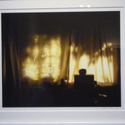 Screen Memories 2014
